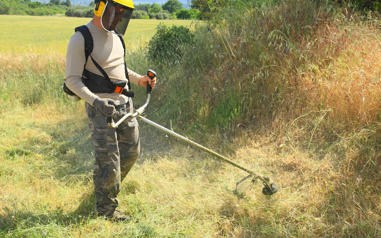 Débroussaillage d’un terrain