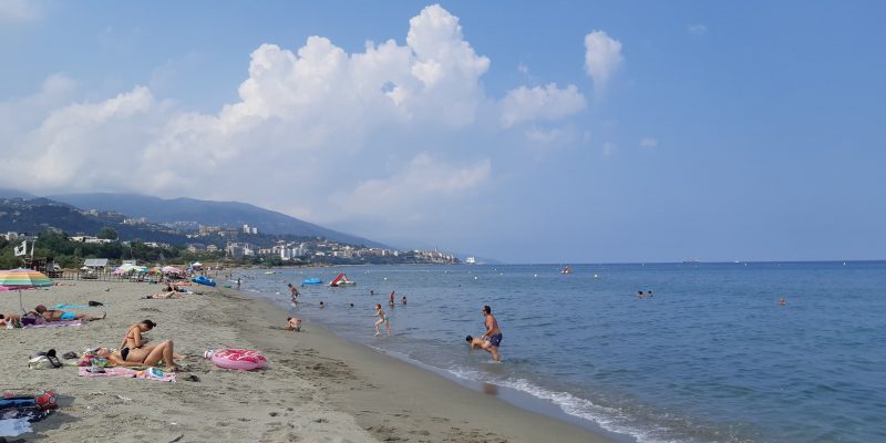 Surveillance des plages : saison 2023