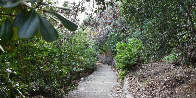 Interdiction d’accès piéton au jardin Romieu