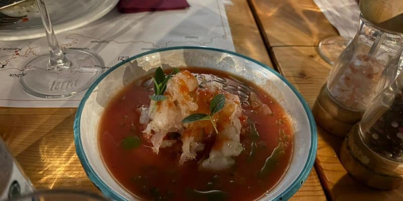 Échanges gastronomiques, marins et scientifiques entre la Bastia et Muğla