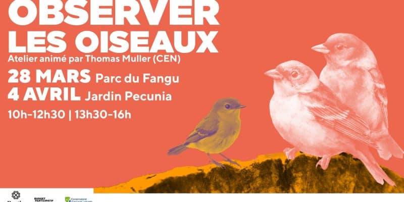 Deux journées d’observation des oiseaux organisées par la Ville et le CEN